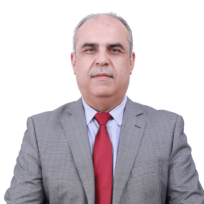 Prof. Emad Hussein